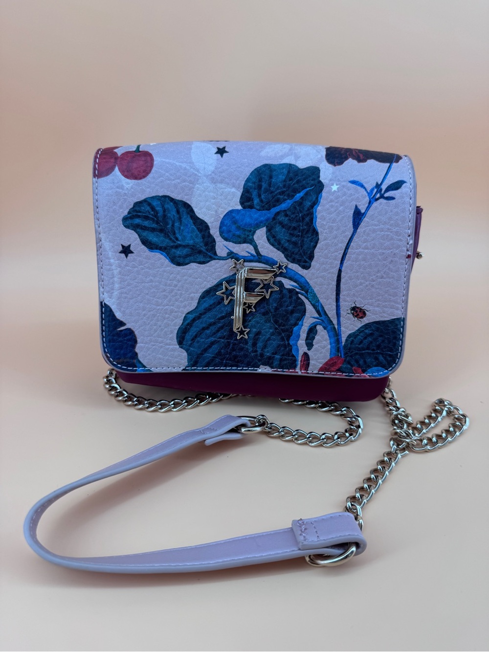 Fiorelli Small Crossbody Bag Purse Chain Strap Floral Ladybug Stars